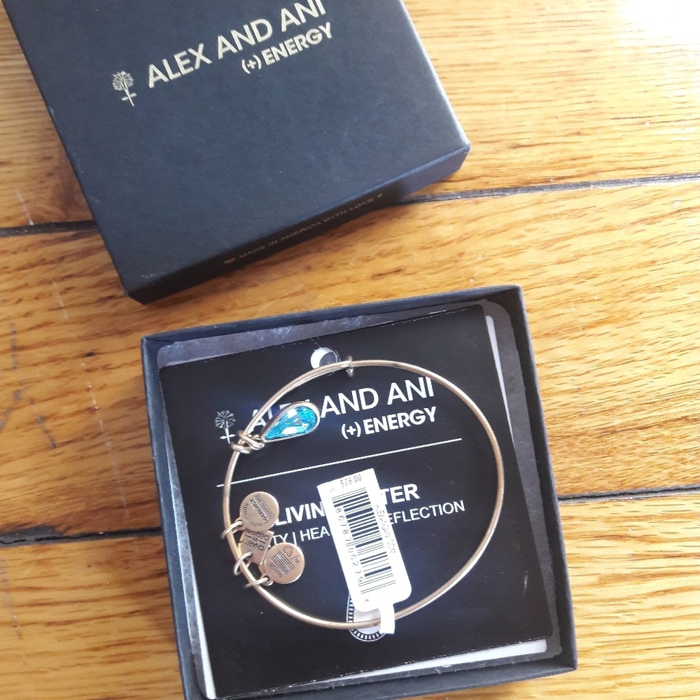 Alex and Ani Bracelet